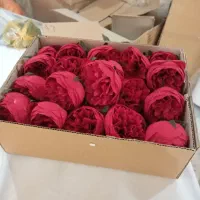 گل مصنوعی و برگ|گل مصنوعی|کرج, فاز ۳ مهرشهر|دیوار
