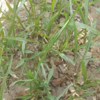 راهنمایی میخوام درباره ازدواج