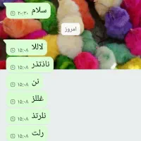 راهنمایی واتساپ|فعالیت داوطلبانه تحقیقاتی|شیراز, محمدیه|دیوار