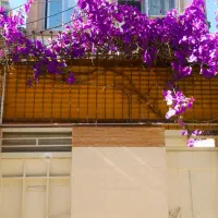 اجاره منزل سه طبقه