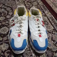 اسپ