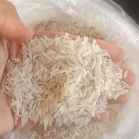 برنج‌فجرسوزنی|خوردنی و آشامیدنی|آق قلا, |دیوار