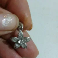 پلاک نقره