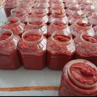 رب گوجه فرنگی