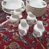 ظروف چینی گل سرخ سالم
