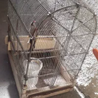 قفس دست غلامی