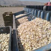 دستگاه سیر کار|ماشین‌آلات صنعتی|مرودشت, علی‌آباد‎|دیوار