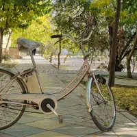 دوچرخه ژاپنی برقی|دوچرخه، اسکیت، اسکوتر|ری, علایین|دیوار