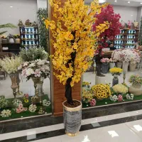 درخچه های اقساطی بدون پیش پرداخت|صنایع دستی و سایر لوازم تزئینی|سهند, |دیوار