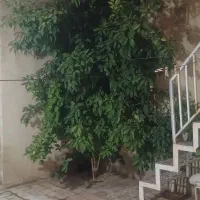 خانه ویلایی همکف  نوساز ساز بسیار دلباز