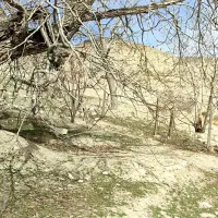 زمین-باغ-میشخاص-4000متر