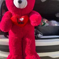 عروسک خرس شاسخین