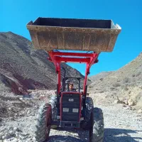 فروش بیل اصفهان نو
