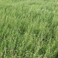 ارائه خدمات کشاورزی وآبیاری