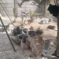 بشنه کندبریسیمان سفید ودیوار چینی شیبندی|خدمات پیشه و مهارت|خمینی‌شهر, |دیوار