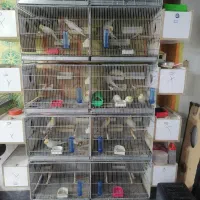 جوفت مولد تضمینی درجه یک