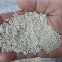 برنج هاشمی استان لرستان دورود