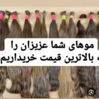 خرید و فروش مو طبیعی  با پورسانت میلیونی