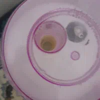 دستگاه بخور سرد|آرایشی، بهداشتی، درمانی|تهران, بوستان سرخه حصار|دیوار