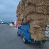 پرس شمال