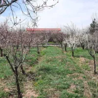 5هزارمتر-بامجوز-ساخت-قیمت-مفت