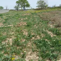 زمین ویلایی سیس