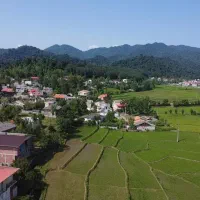 250 مترزمین مسکونی جنگلی آبشار پره سر