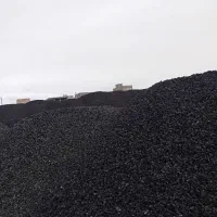 پوکه سبک دانه غرب ارسال از قروه