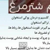 بلدرچین ماهی غازاردک مرغ شاخداربره کهره بزه میش|حیوانات مزرعه|یاسوج, |دیوار