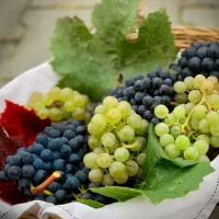 سلامتی ودرمان با گیاهان دارویی