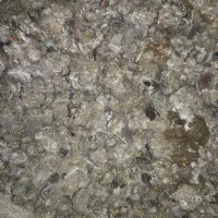 کود  زیل کفتر