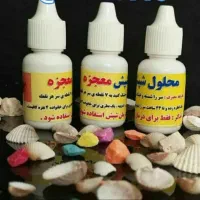 قطره شپش معجزه اصل