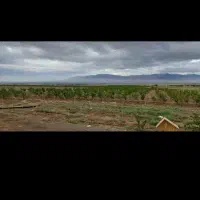 زمین-باغی