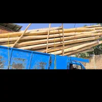 خرید انواع چوب