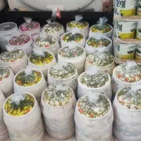 ترشیجات خانگی فقط عمده