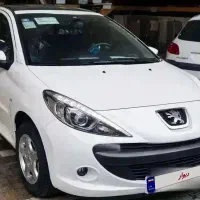 207 پانا پلاس خشک ۱۴۰۴