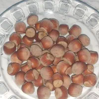 فندق ارگانیک درشت