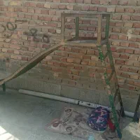سرسره وتاب تاب