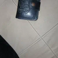 پیداشده