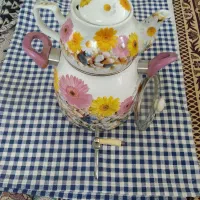 (تعدادی ظرف  و کتری قوری) مناسب باغ