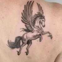 اجرای تخصصی تتو بدن با قیمت مناسب|خدمات آرایشگری و زیبایی|تهران, تهرانپارس شرقی|دیوار