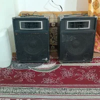 دو عدد باند بزرگ مخصوص مراسم