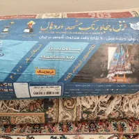 فرش 6متری|فرش|اهر, |دیوار