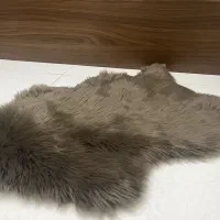 پادری مادام کوکو