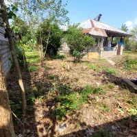 خانه قدیمی ۱۲۰۰ متری قابل تفکیک|فروش زمین و ملک کلنگی|خشکبیجار, |دیوار