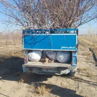 نهال ۱تا ۷ ساله .درخت 7 ساله|خدمات باغبانی و درختکاری|مشهد, توس فردوسی|دیوار