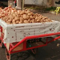 گاری دستی همراه با طبق متحرک
