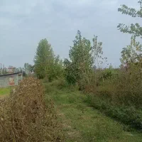 فروش ۲۰۷متر زمین در میانکو محله|فروش زمین و ملک کلنگی|خرم‌آباد (تنکابن), |دیوار