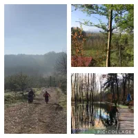 زمین جنگلی جاده رشت تهران