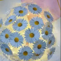 دسته گل پروانه به مناسبت روز دختر off|گل مصنوعی|شیروان (خراسان), |دیوار